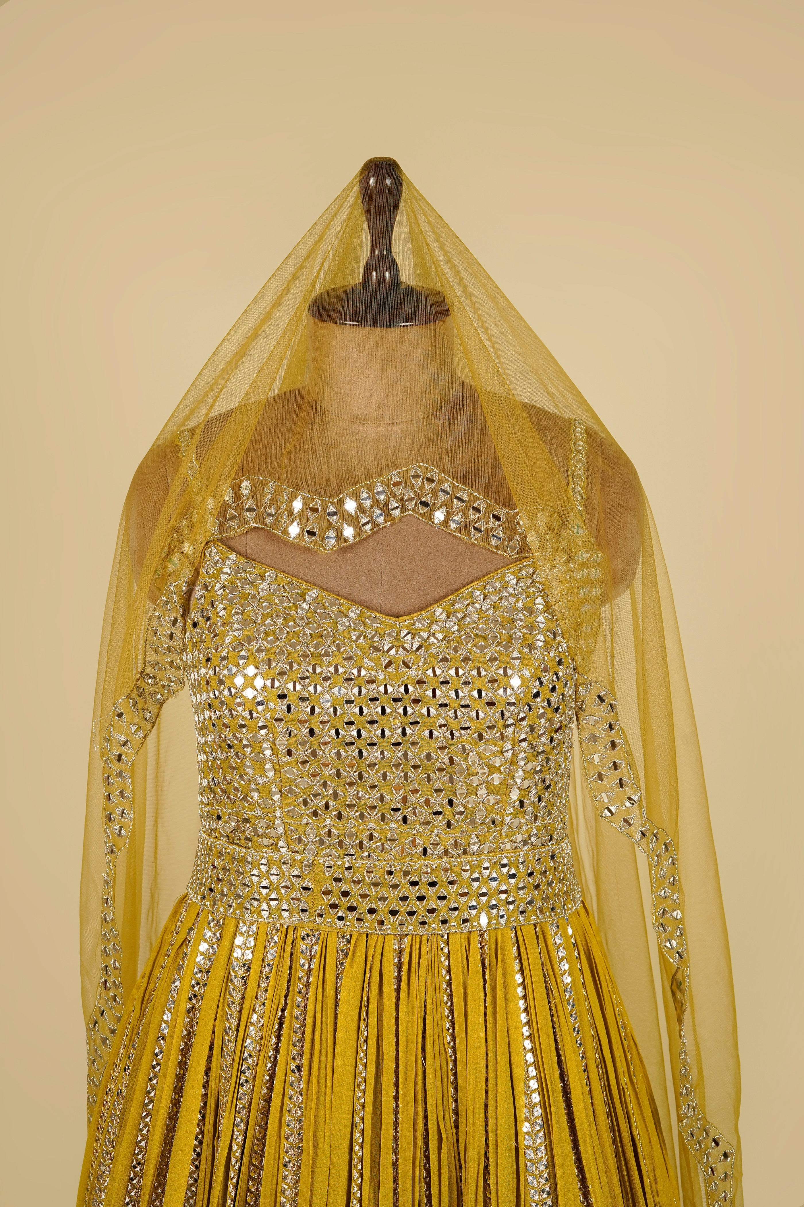 Georgette Sleeveless Gown embellished with Zari, Sequins and Mirror work