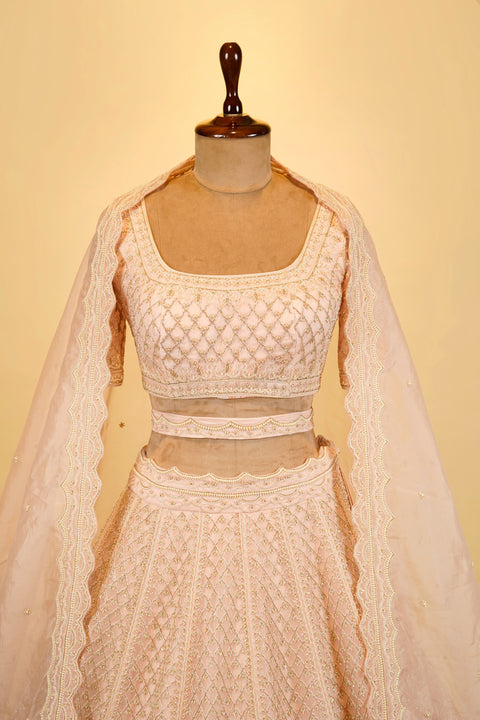 Light Peach Lehenga Choli embellished with Sequins, Cut dana and Bead work