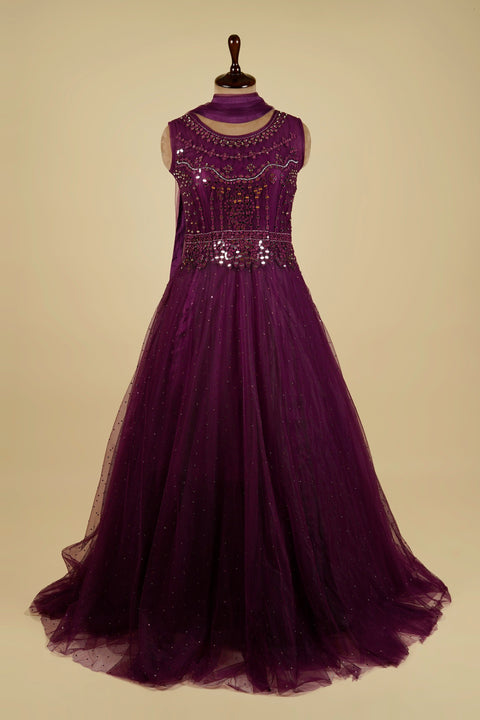 Net Anarkali embellished with Mirror and Sequins work