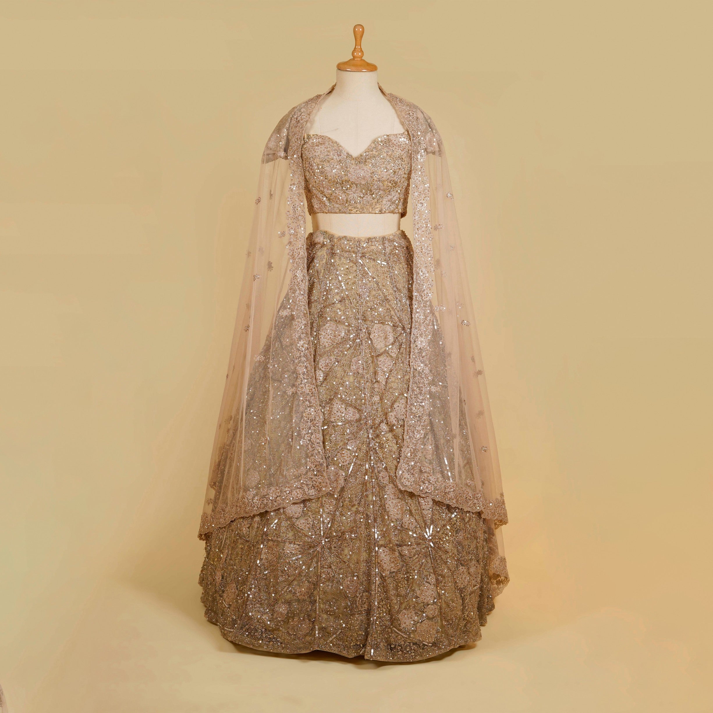 Light Gold Lehenga Choli embellished with Sequins, Thread and Cut dana work